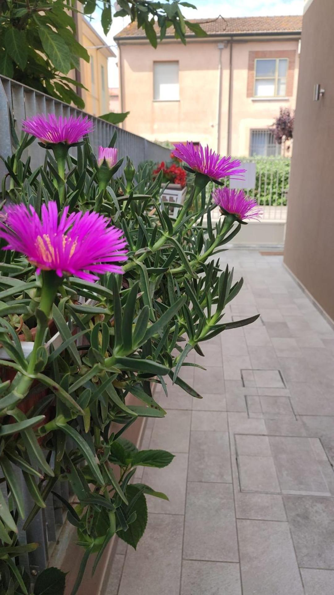 Darsena B&B Tra Arte E Mare 라벤나 외부 사진